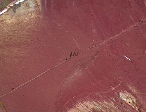 Classic Cusco Adventure (8 Days)